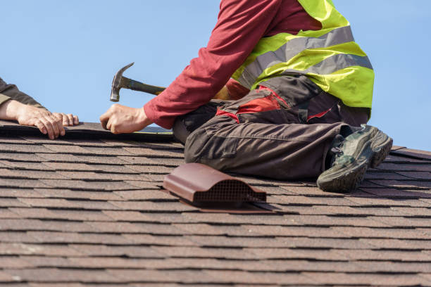 Best Metal Roofing Contractor  in Wyoming, DE
