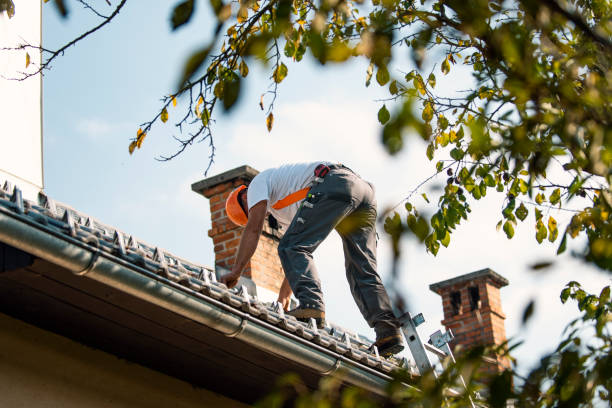Best Residential Roofing Contractor  in Wyoming, DE