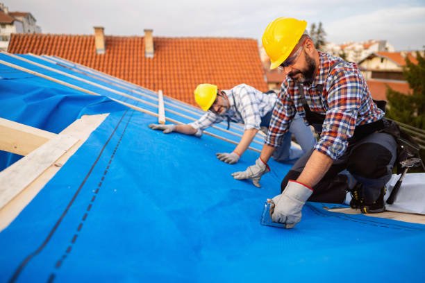 Best Flat Roof Repair Services  in Wyoming, DE